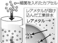 日本将利用微生物胶囊回收稀有金属